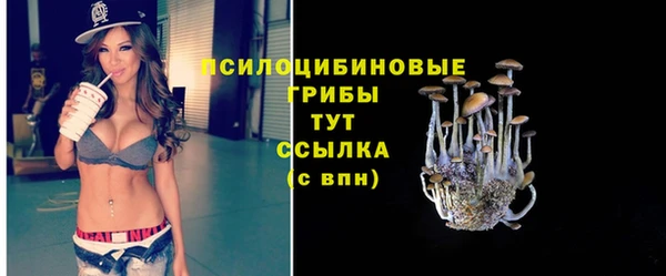 спайс Богородицк