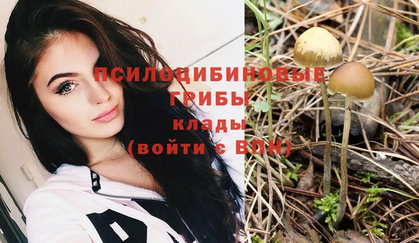 спайс Богородицк
